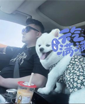 杨朝利 淄博 26岁 185cm 80kg